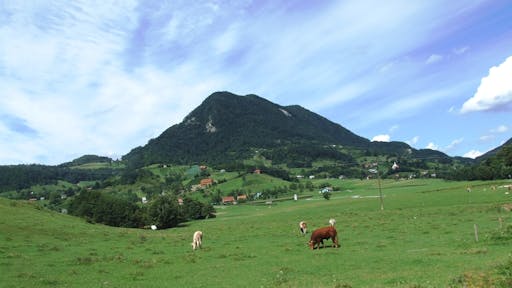 Donačka gora